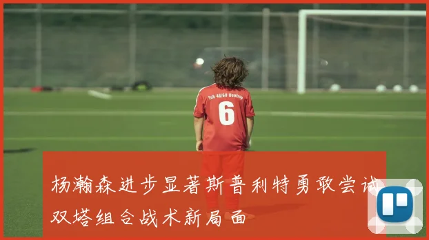 杨瀚森进步显著斯普利特勇敢尝试双塔组合战术新局面