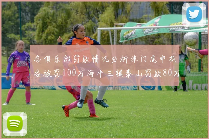 各俱乐部罚款情况分析津门虎申花各被罚100万海牛三镇泰山罚款80万